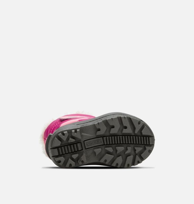 Sorel Toddler Commander™ - Kids Snow Boots Pink/Black - 532461UBE